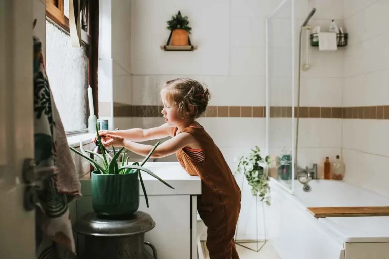 Bathroom Cleaning Tips